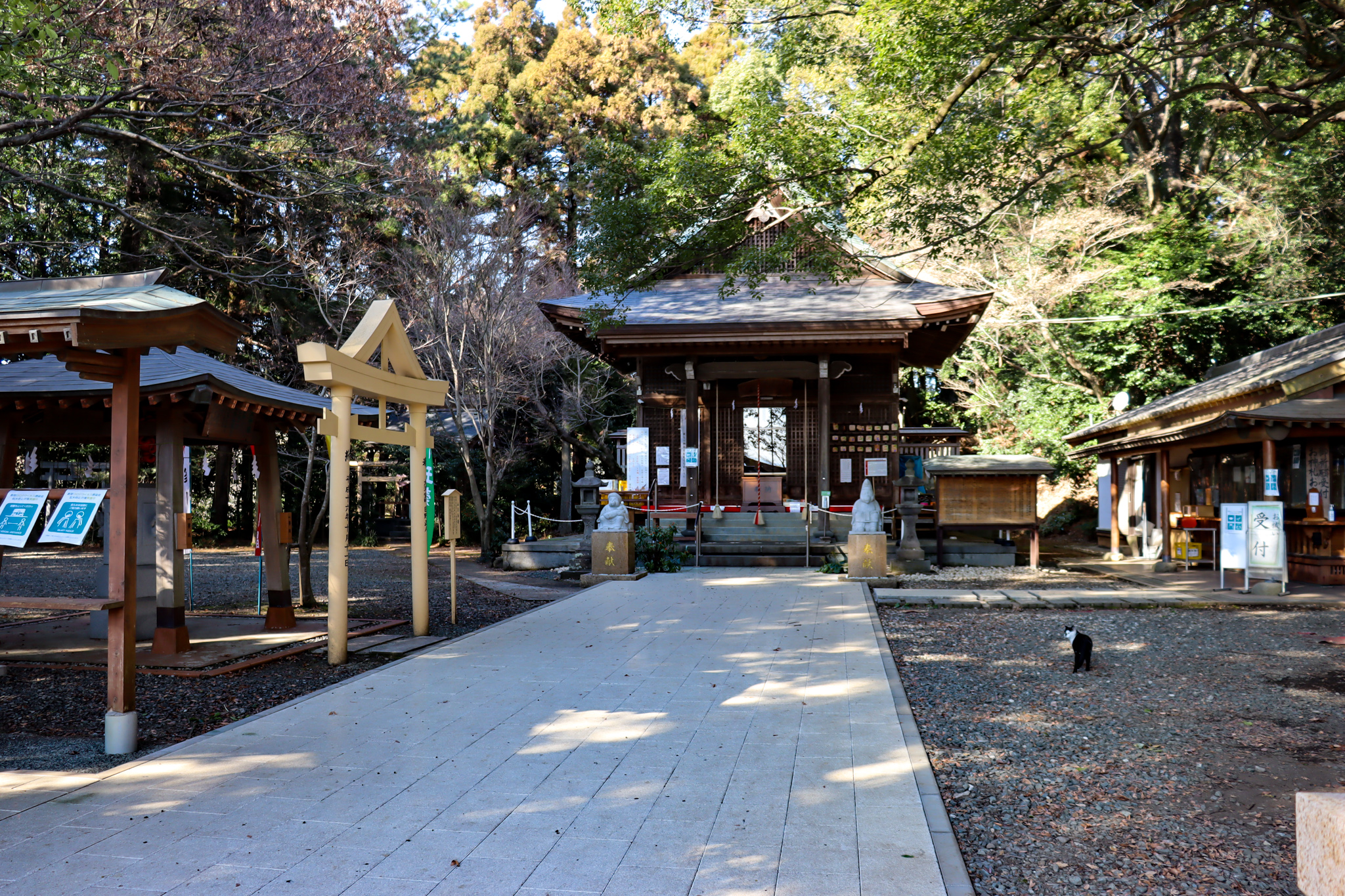 日吉神社境内